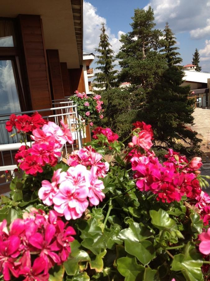 Dafovska Hotel Pamporovo Luaran gambar